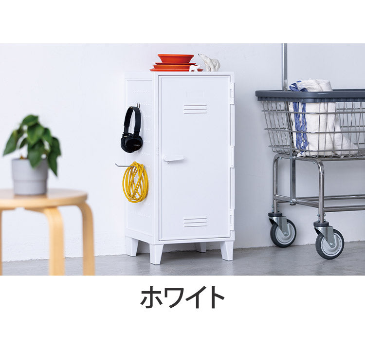 ロッカー風収納ケース ペグボード付き 扉 キャビネット ラック 棚 収納ボックス プラスチック収納 フィッツ Fits おしゃれ シンプル(代引不可)