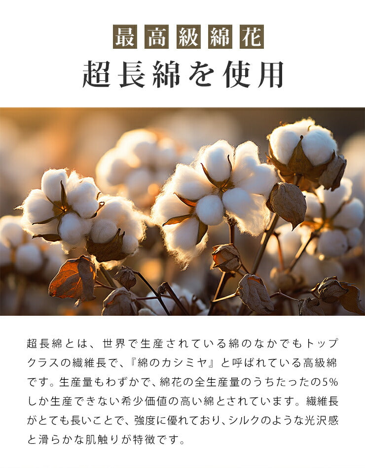 タオルケット シングル 綿100% 抗菌 防臭 夏用 厚手 140×190cm 洗える 洗濯 低ホルム 高級綿 超長綿 コットン ブランケット夏用 肌掛け布団 肌かけ 肌掛け タオル 綿 吸水性 吸水 布団 ケット