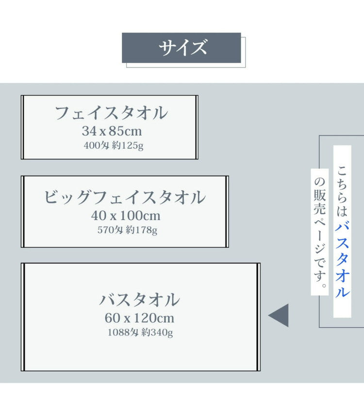リッチホテルバスタオル2枚 日本製 バスタオル 厚手 2枚セット 全10色 ホテル仕様 60×120cm タオル 泉州タオル 吸水性抜群 おしゃれ リッチホテル まとめ買い(代引不可)