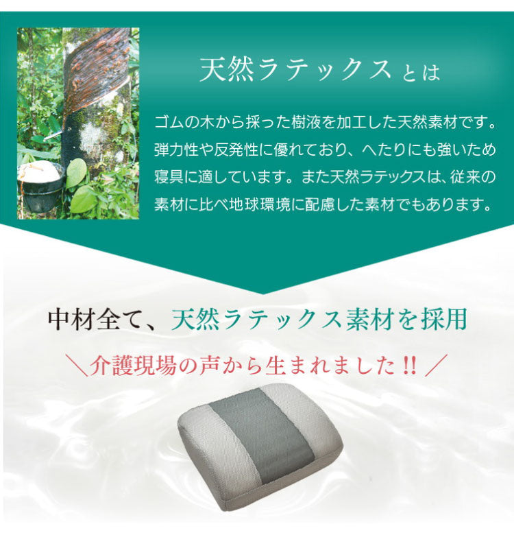 ラテックス クッション 腰サポート 介護ヘルパーさんお勧め 天然ラテックス 33×37cm 車いす 背あて 耐久性 体圧分散 床ずれ軽減 弾力 洗えるカバー 座布団 プレゼント ギフト 介護 サポート 滑り止め(代引不可)