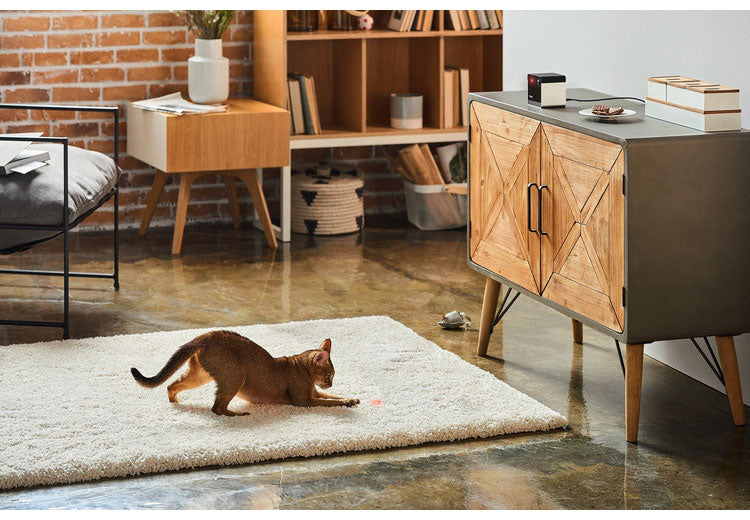 PETCUBE Play 2 ペットカメラ 見守りカメラ レーザートイ搭載 犬 猫 小型 高画質 双方向音声 会話 マイク 録画 暗所 夜 広角 ズーム いたずら防止 声かけ フルHD Alexa 通知 AI wifi アプリ
