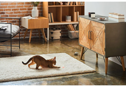 PETCUBE Play 2 ペットカメラ 見守りカメラ レーザートイ搭載 犬 猫 小型 高画質 双方向音声 会話 マイク 録画 暗所 夜 広角 ズーム いたずら防止 声かけ フルHD Alexa 通知 AI wifi アプリ