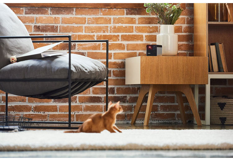 PETCUBE Play 2 ペットカメラ 見守りカメラ レーザートイ搭載 犬 猫 小型 高画質 双方向音声 会話 マイク 録画 暗所 夜 広角 ズーム いたずら防止 声かけ フルHD Alexa 通知 AI wifi アプリ