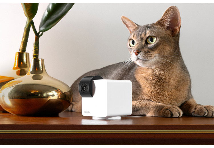 PETCUBE CAM 360 室内用ペットカメラ 360° 回転 見守りカメラ 犬 猫 小型 高画質 自動追尾 暗所 夜 広角 ズーム 双方向音声 会話 マイク 録画 いたずら防止 声かけ フルHD Alexa 通知 AI wifi