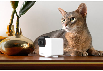 PETCUBE CAM 360 室内用ペットカメラ 360° 回転 見守りカメラ 犬 猫 小型 高画質 自動追尾 暗所 夜 広角 ズーム 双方向音声 会話 マイク 録画 いたずら防止 声かけ フルHD Alexa 通知 AI wifi