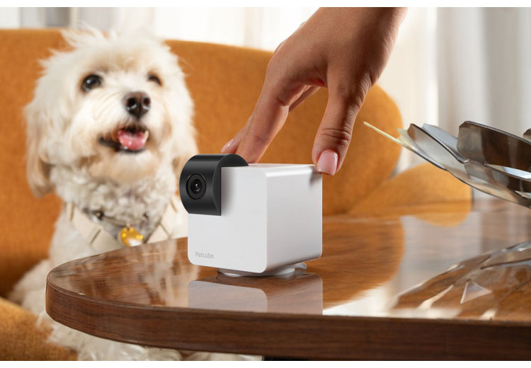 PETCUBE CAM 360 室内用ペットカメラ 360° 回転 見守りカメラ 犬 猫 小型 高画質 自動追尾 暗所 夜 広角 ズーム 双方向音声 会話 マイク 録画 いたずら防止 声かけ フルHD Alexa 通知 AI wifi