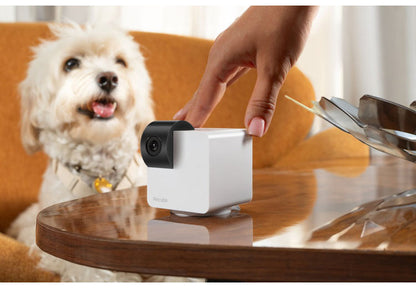PETCUBE CAM 360 室内用ペットカメラ 360° 回転 見守りカメラ 犬 猫 小型 高画質 自動追尾 暗所 夜 広角 ズーム 双方向音声 会話 マイク 録画 いたずら防止 声かけ フルHD Alexa 通知 AI wifi