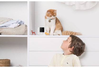 PETCUBE CAM 室内用ペットカメラ 見守りカメラ 犬 猫 小型 高画質 双方向音声 会話 マイク 暗所 夜 広角 ズーム 壁 天井 マグネット 録画 いたずら防止 声かけ フルHD Alexa 検知 通知 AI wifi