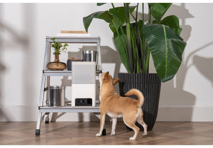 PETCUBE Bites 2 Lite 室内用ペットカメラ 見守りカメラ 犬 猫 おやつ 高画質 双方向音声 会話 マイク 録画 暗所 夜 壁掛け 広角 ズーム いたずら防止 声かけ フルHD Alexa 通知 AI wifi