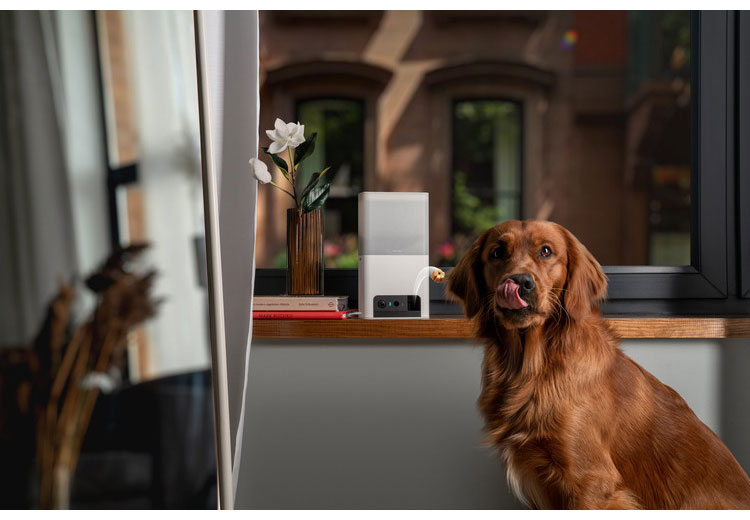 PETCUBE Bites 2 Lite 室内用ペットカメラ 見守りカメラ 犬 猫 おやつ 高画質 双方向音声 会話 マイク 録画 暗所 夜 壁掛け 広角 ズーム いたずら防止 声かけ フルHD Alexa 通知 AI wifi