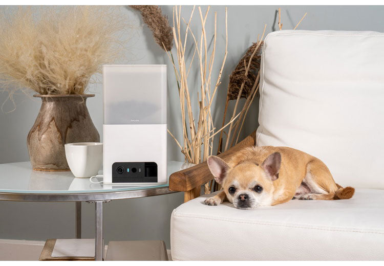 PETCUBE Bites 2 Lite 室内用ペットカメラ 見守りカメラ 犬 猫 おやつ 高画質 双方向音声 会話 マイク 録画 暗所 夜 壁掛け 広角 ズーム いたずら防止 声かけ フルHD Alexa 通知 AI wifi