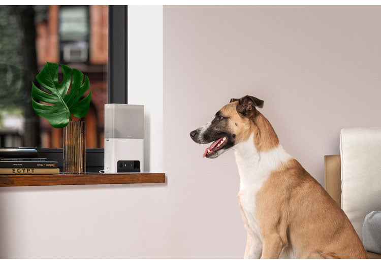 PETCUBE Bites 2 Lite 室内用ペットカメラ 見守りカメラ 犬 猫 おやつ 高画質 双方向音声 会話 マイク 録画 暗所 夜 壁掛け 広角 ズーム いたずら防止 声かけ フルHD Alexa 通知 AI wifi