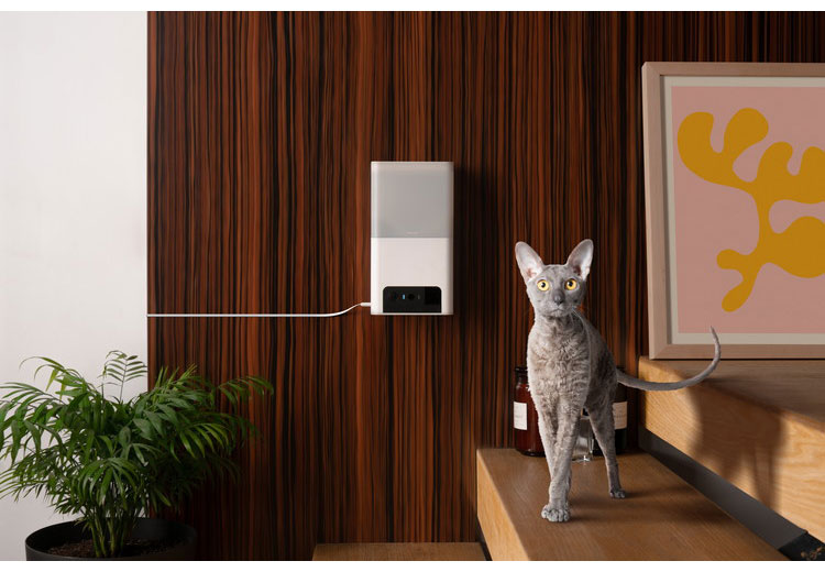 PETCUBE Bites 2 Lite 室内用ペットカメラ 見守りカメラ 犬 猫 おやつ 高画質 双方向音声 会話 マイク 録画 暗所 夜 壁掛け 広角 ズーム いたずら防止 声かけ フルHD Alexa 通知 AI wifi