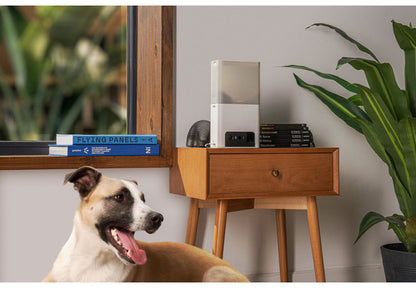 PETCUBE Bites 2 Lite 室内用ペットカメラ 見守りカメラ 犬 猫 おやつ 高画質 双方向音声 会話 マイク 録画 暗所 夜 壁掛け 広角 ズーム いたずら防止 声かけ フルHD Alexa 通知 AI wifi