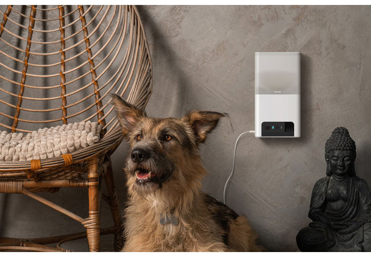 PETCUBE Bites 2 Lite 室内用ペットカメラ 見守りカメラ 犬 猫 おやつ 高画質 双方向音声 会話 マイク 録画 暗所 夜 壁掛け 広角 ズーム いたずら防止 声かけ フルHD Alexa 通知 AI wifi