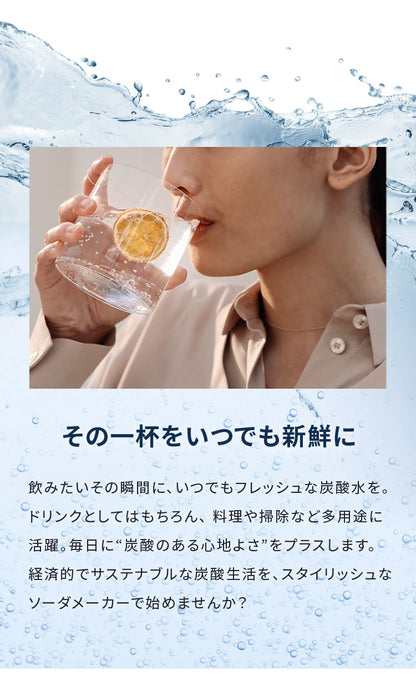 【国内正規品】 aarke アールケ カーボネーター3専用ステンレスボトル 1000ml 注水800ml 持ち運び 外出 交換用 取り置き用 交換ボトル スペア 洗機対応 炭酸水 炭酸 メーカー Carbonator