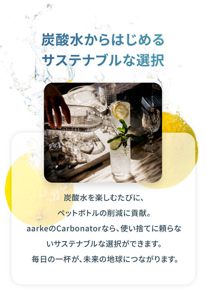 【国内正規品】 aarke アールケ カーボネーター3専用ステンレスボトル 1000ml 注水800ml 持ち運び 外出 交換用 取り置き用 交換ボトル スペア 洗機対応 炭酸水 炭酸 メーカー Carbonator