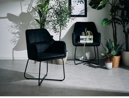 ダイニングチェア 2脚セット 2個組 アイアン ベロア調 ベルベット生地 チェア 椅子 いす デザインチェア おしゃれ モダン 北欧 シンプル 背もたれ ナチュラル インテリア(代引不可)