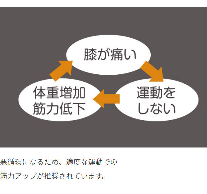 ポルト ひざ治療サポーター 温感付き 関節 膝サポーター ひざサポーター 医療用 高齢者 スポーツ 日常生活 補助 コンパクト 低周波サポーター 冷え対策 痛み プレゼント ギフト AIM-011
