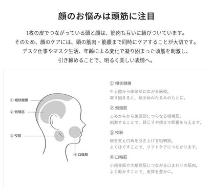 AiMY エイミー ビーブラッシュ BEE BRUSH 電気ブラシ ブラシ EMS 美顔器 頭皮 頭筋 リフト エイジングケア 美容家電 ほうれい線 毛穴 スパ ヘッドスパ 美肌 口角 小顔 プレゼント ギフト AIM-BT130
