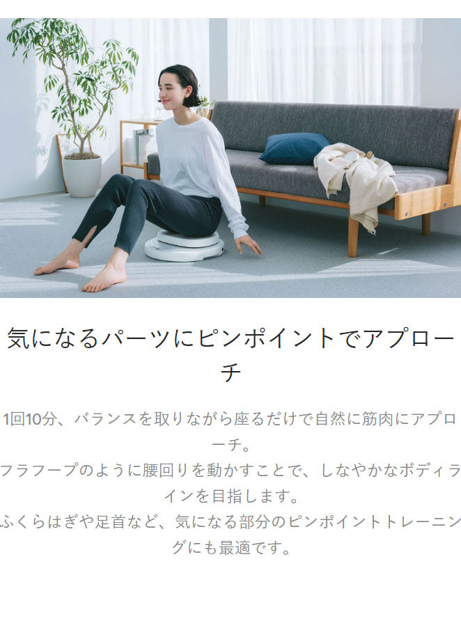 AiMY エイミー 座るだけの簡単エクササイズマシーン フープツイスター 座面が自動的に回転 ウエスト ツイスト運動 体幹トレーニング エクササイズ AIM-FN077