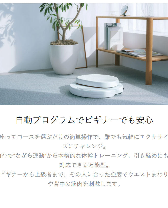 AiMY エイミー 座るだけの簡単エクササイズマシーン フープツイスター 座面が自動的に回転 ウエスト ツイスト運動 体幹トレーニング エクササイズ AIM-FN077