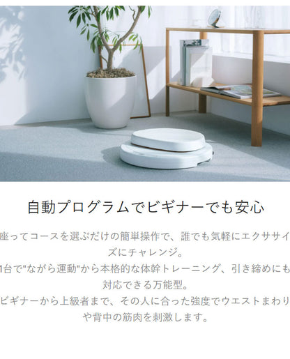 AiMY エイミー 座るだけの簡単エクササイズマシーン フープツイスター 座面が自動的に回転 ウエスト ツイスト運動 体幹トレーニング エクササイズ AIM-FN077