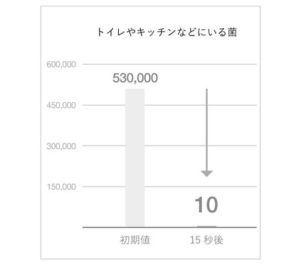 AiMY エイミー オゾン水スプレー オゾン水 スプレー 生成器 発生器 除菌 消臭 安全 エコ 消臭スプレー ノンアルコール 水 家庭用 オゾン オゾン水生成器 おしゃれ プレゼント ギフト AIM-OZ01