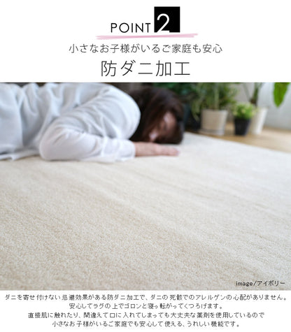【日本製】 ラグマット CALM 200x250cm 長方形 ラグ マット カーペット 無地 シンプル 防音 防ダニ 床暖 ホットカーペット(代引不可)