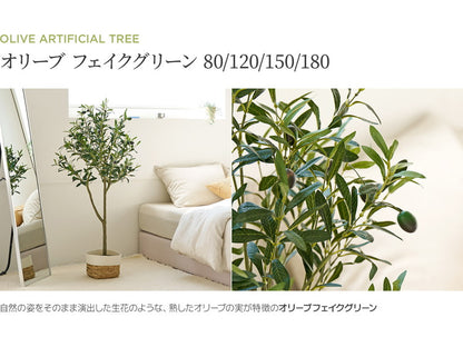 roommhome オリーブの木 80cm フェイクグリーン 人工観葉植物 造花 観葉樹 室内 観葉植物 オリーブ グリーン ルームアンドホーム(代引不可)