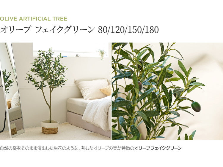 roommhome オリーブの木 120cm フェイクグリーン 人工観葉植物 造花 観葉樹 室内 観葉植物 オリーブ グリーン ルームアンドホーム(代引不可)