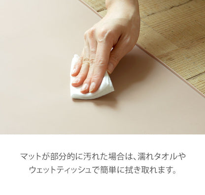 エッジシリコンマット 85cm×60cm 【リコメン堂限定オリジナルカラー  3色】薄型 防臭、防水機能付き トイレトレー ペットトイレ 薄型 ペット シート シーツ ペットシート 【roomnhome×リコメン堂】(代引不可)