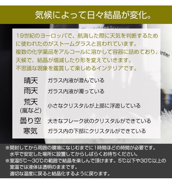 ストームグラス BAW11007 天気予報グラス 結晶 オブジェ 飾り おしゃれ 雑貨 ガラス