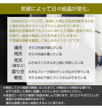 ストームグラス BAW11007 天気予報グラス 結晶 オブジェ 飾り おしゃれ 雑貨 ガラス