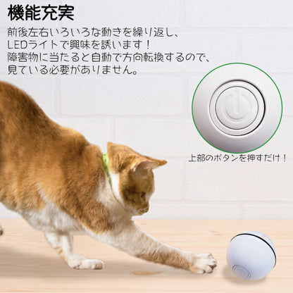 ペット専用 電動 ネコじゃらし ボール 一人遊び 猫じゃらし おもちゃ 動く キャットボール ドッグボール 犬 回転