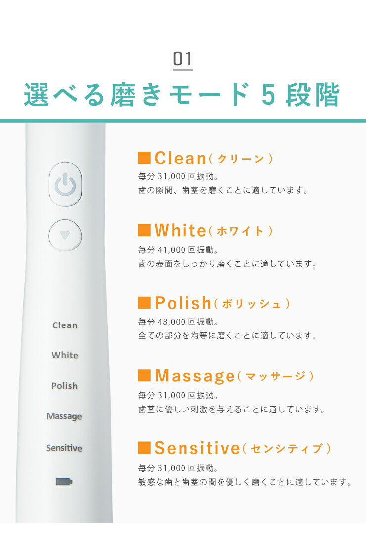 電動歯ブラシ 音波振動 充電式 替えブラシ付き 音波歯ブラシ 最大毎分48,000回 携帯 充電式ケース UV除菌 UVケース USB充電式 口臭対策 虫歯予防