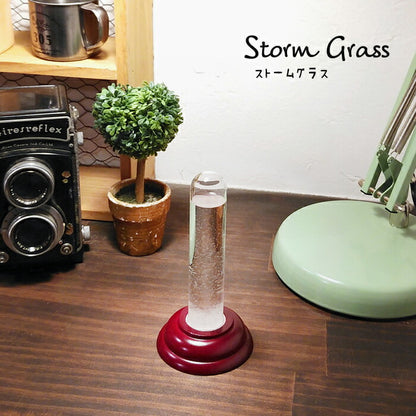 ストームグラス YG638SR ガラス 結晶 季節 北欧 天気予報 モダン おしゃれ インテリア オブジェ 置物 飾り