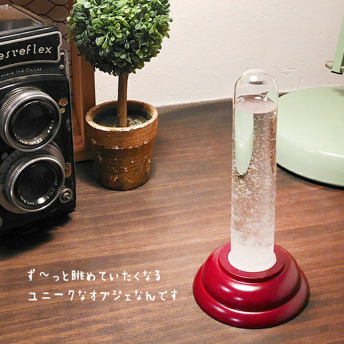 ストームグラス YG638SR ガラス 結晶 季節 北欧 天気予報 モダン おしゃれ インテリア オブジェ 置物 飾り