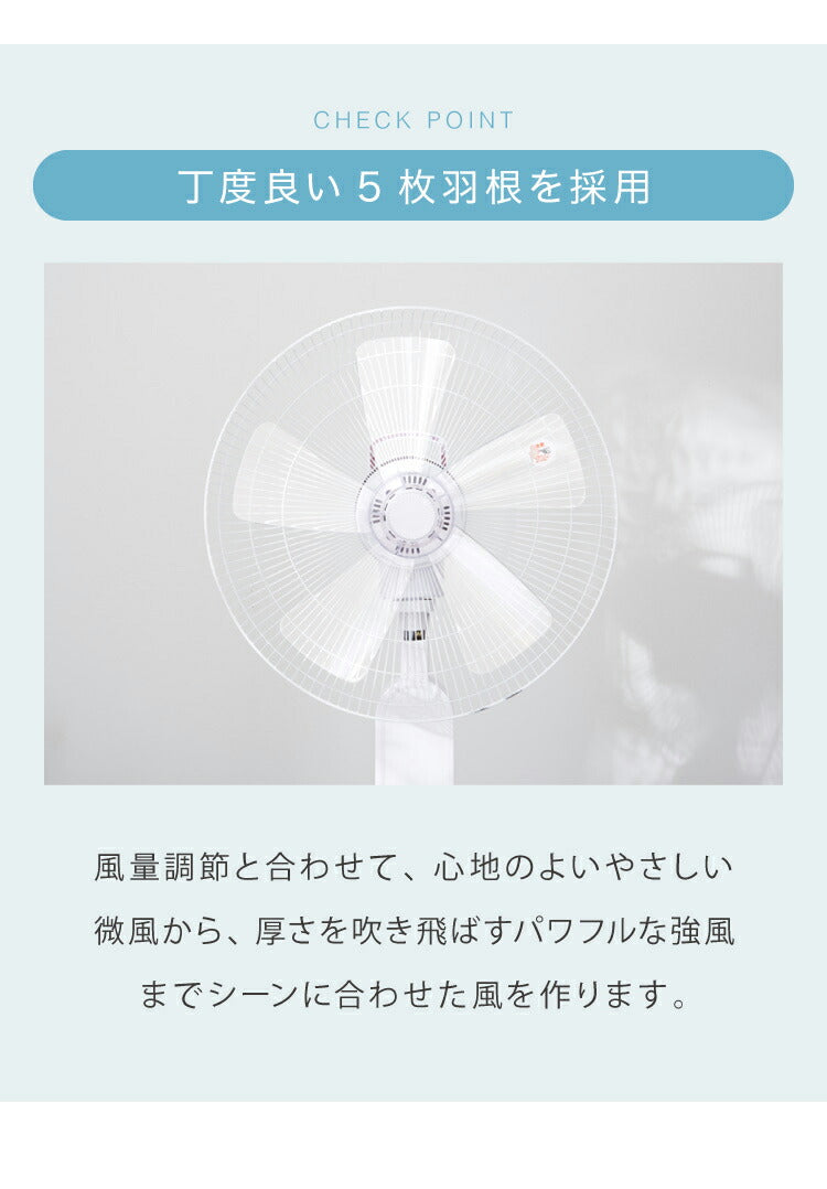 TEKNOS テクノス 40cm 5枚羽根 DCフロアー扇風機 フルリモコン ハイポジション扇風機 リビング扇 DCモーター 上下左右首振り 立体送風 フルリモコン KI-F814R