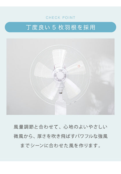 TEKNOS テクノス 40cm 5枚羽根 DCフロアー扇風機 フルリモコン ハイポジション扇風機 リビング扇 DCモーター 上下左右首振り 立体送風 フルリモコン KI-F814R