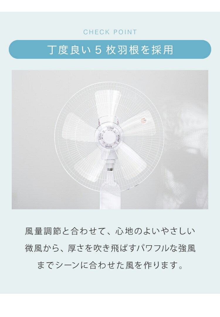 TEKNOS テクノス 40cm 5枚羽根 DCフロアー扇風機 フルリモコン ハイポジション扇風機 リビング扇 DCモーター 上下左右首振り 立体送風 フルリモコン KI-F815R