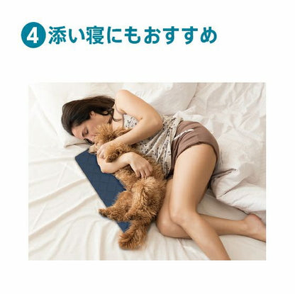 ペット用ファイバーマット ライズ RISE 健康睡眠 ファイバー 水洗い 洗える 吸水速乾 ペット 犬 猫防臭 お昼寝パッド 枕 敷パッド