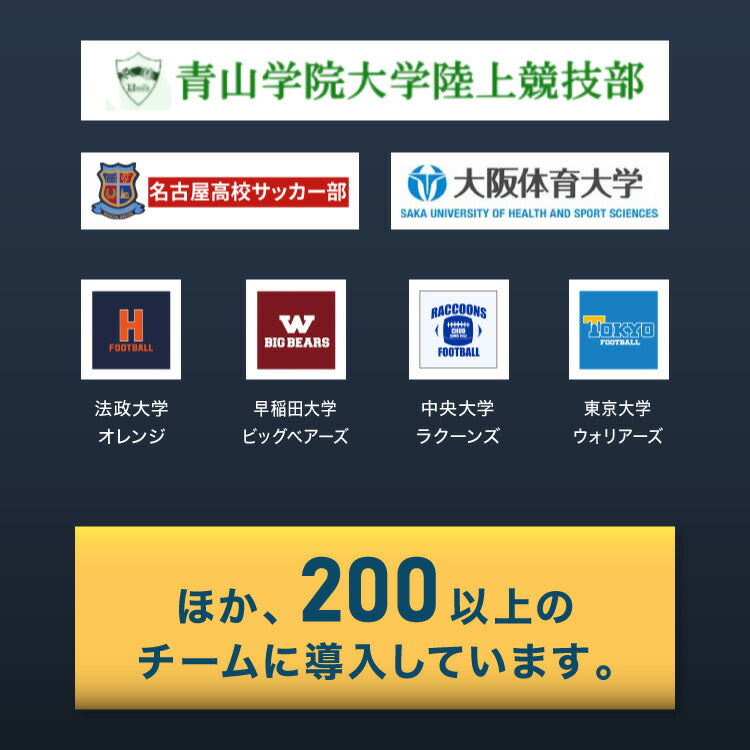 RISE 枕 ファイバーリラックスピロー ライズ東京 ゼログラビティ 頸椎安定 高さ調整シート 高め 低め 洗える ムレにくい 清潔快適 通気性 反発力 弾力性 高さ調節 マクラ まくら 硬め