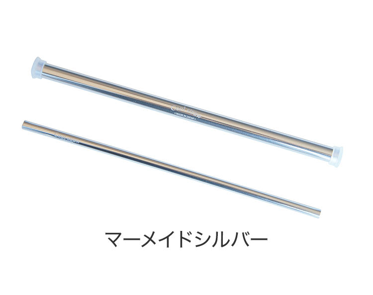 アルミストローケース&ストローセット(ブラシ付)(代引不可)