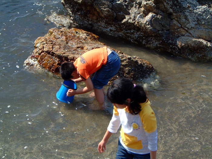 たこめがね 水中観察 子供用 釣り フィッシング アウトドア レジャー 夏休み 海水浴 山 川遊び 水中メガネ 水色 ブルー 磯遊び 川遊び 潮干狩り 生物観察(代引不可)