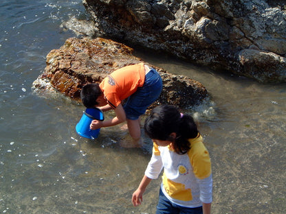 たこめがね 水中観察 子供用 釣り フィッシング アウトドア レジャー 夏休み 海水浴 山 川遊び 水中メガネ 水色 ブルー 磯遊び 川遊び 潮干狩り 生物観察(代引不可)
