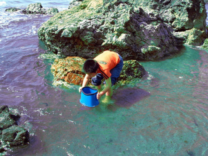 たこめがね 水中観察 子供用 釣り フィッシング アウトドア レジャー 夏休み 海水浴 山 川遊び 水中メガネ 水色 ブルー 磯遊び 川遊び 潮干狩り 生物観察(代引不可)