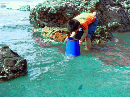 たこめがね ロング 水中観察 子供用 釣り フィッシング アウトドア レジャー 夏休み 海水浴 山 川遊び 水中メガネ 水色 ブルー 磯遊び 川遊び 潮干狩り 生物観察(代引不可)