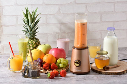 HOME SWAN トライタンボトルブレンダー600ml(代引不可)