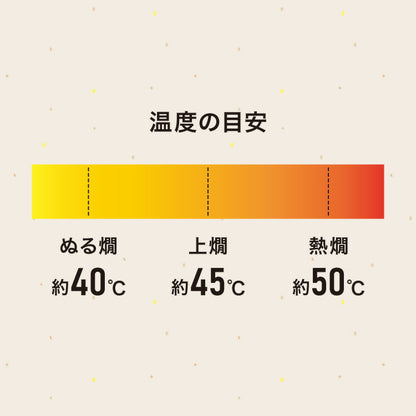 電気 酒燗器「酒呑み大将」 (AYT-04) タマハシ 電気式 お酒 日本酒 徳利 とっくり 温め ダイヤル式 温度調節 ぬるかん 熱燗 湯せん(代引不可)